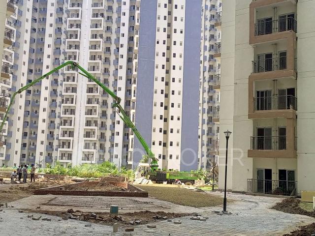 2 BHK Flat In Amrapali Dream Valley for Rent In Tech Zone 4