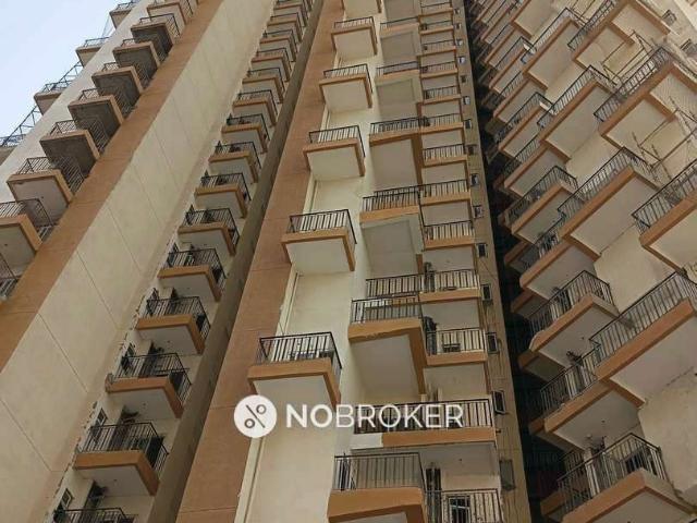 2 BHK Flat In Amrapali Dream Valley High Life 2, Noida Extension for Rent In Noida Extension