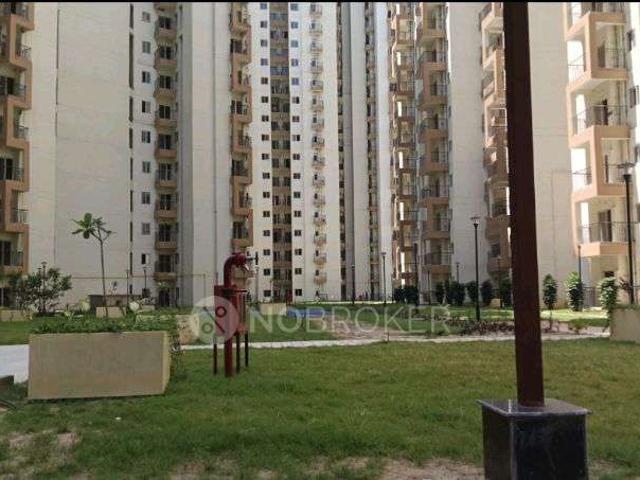 2 BHK Flat In Amrapali Dream Valley Phase 2 for Rent In Greater Noida