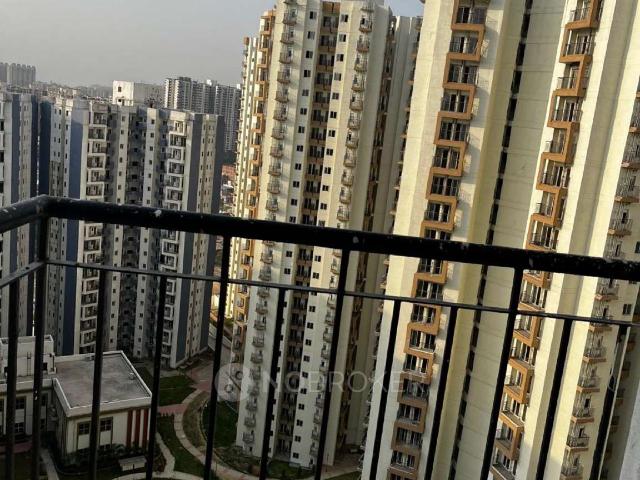 2 BHK Flat In Amrapali Dream Valley Phase 2 High Rise for Rent In Amrapali Dream Valley