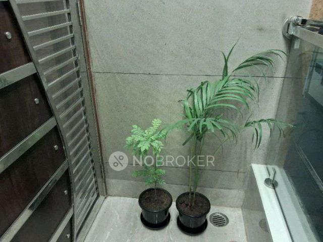 2 BHK Flat In Apartment for Rent In Dwarka, delhi