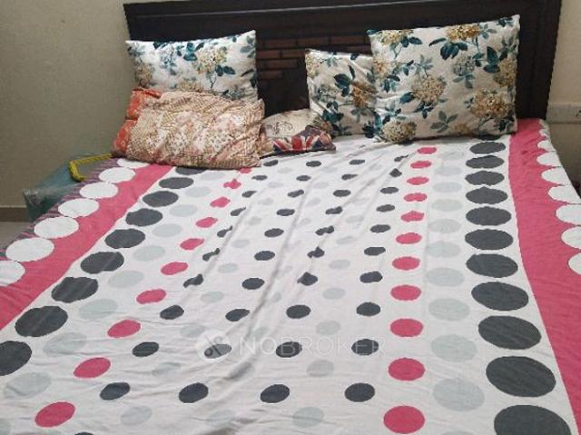 2 BHK Flat In Ascent Savy Homz for Rent In Sahibzada Fateh