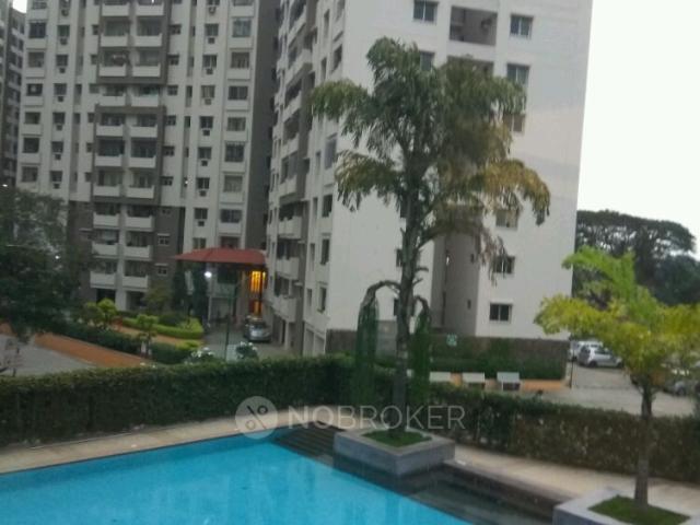2 BHK Flat In Brigade Gardenia Annexe for Rent In Jp Nagar