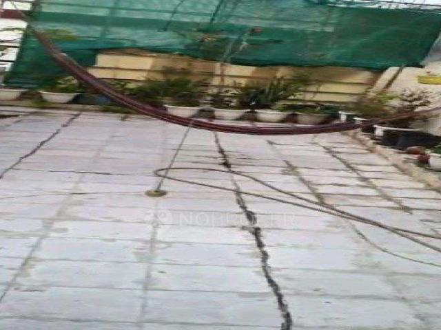2 BHK Flat In Dwarka Sector 19 for Rent In Asha Grih Boy's