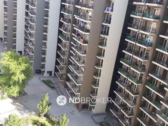 2 BHK Flat In Dhoot Time Residency for Rent In Sector 63