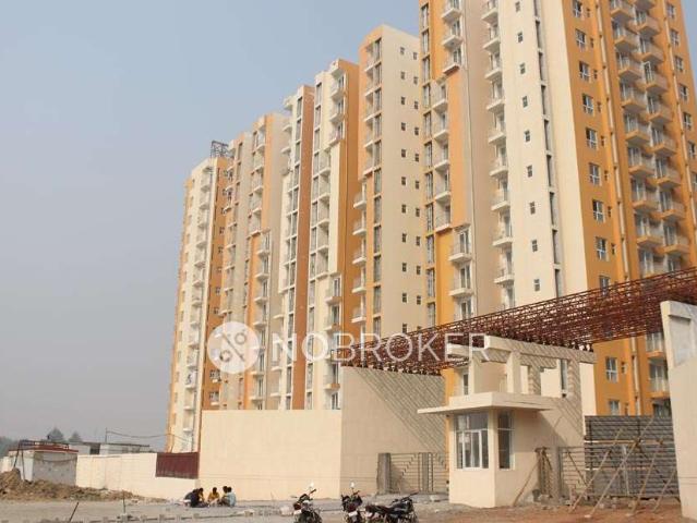 2 BHK Flat In Dream Homes Wave City for Rent In Wave City