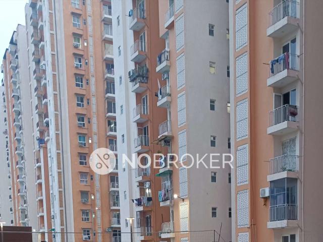 2 BHK Flat In Dream Homes Wave City for Rent In Dream Homes Wave City Ghaziabad