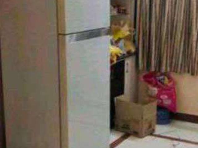 2 BHK Flat In Flat 1, Anusri Apt, Jayanagar, New Bowenpally For Sale In Jayanaga