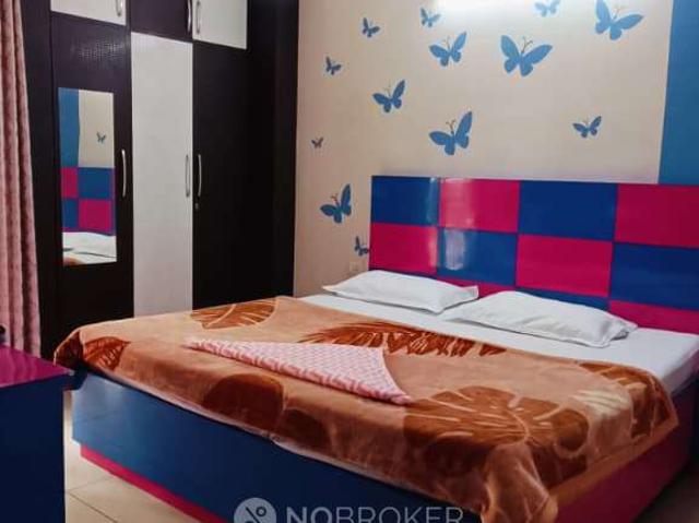 2 BHK Flat In Gulshan Ikebana for Rent In Sector 143