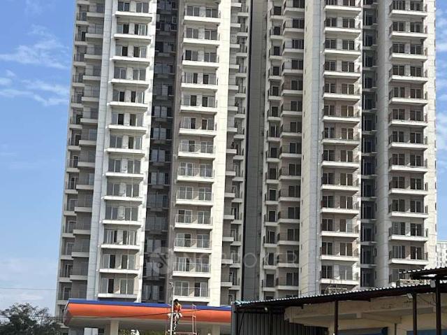 2 BHK Flat In Gls Avenue 81 for Rent In Sector 81