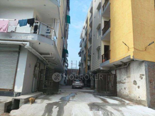 2 BHK Flat In Green Apartment for Rent In Sector 1