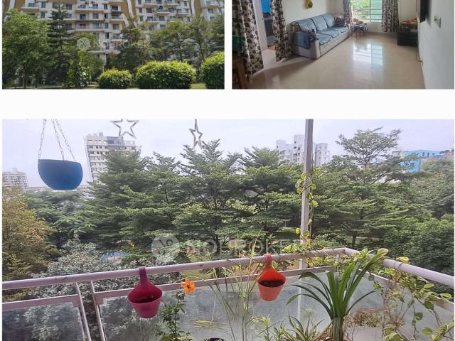 2 BHK Flat In Karia Konark Meadows for Rent In Wagholi