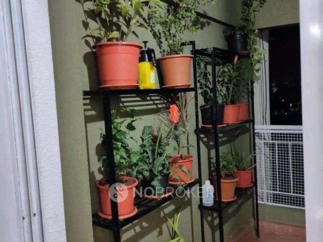 2 BHK Flat In Kohinoor Ambrosia for Rent In Hadapsa