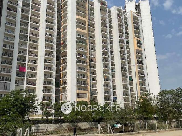2 BHK Flat In Panchsheel Greens1 For Sale In Sector 16b