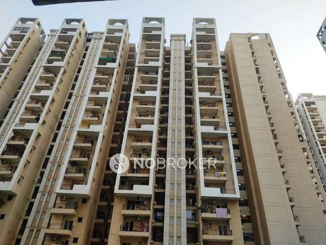 2 BHK Flat In Panchsheel Greens 2 for Rent In Sector 16b