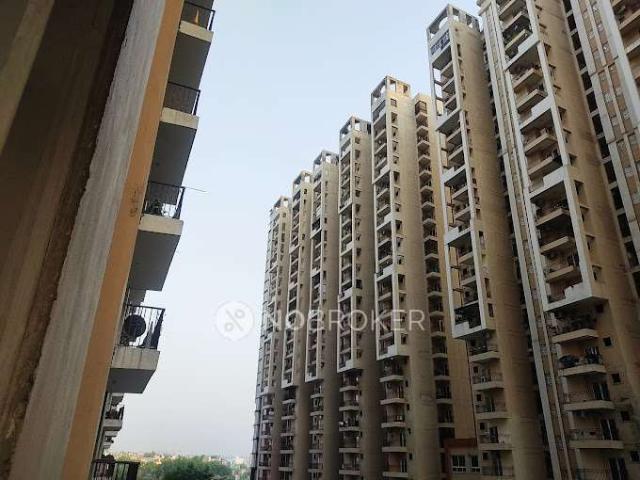 2 BHK Flat In Panchsheel Greens 2 for Rent In Sector 16b