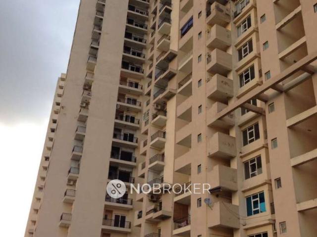 2 BHK Flat In Paramount Floraville For Sale In Sector 137