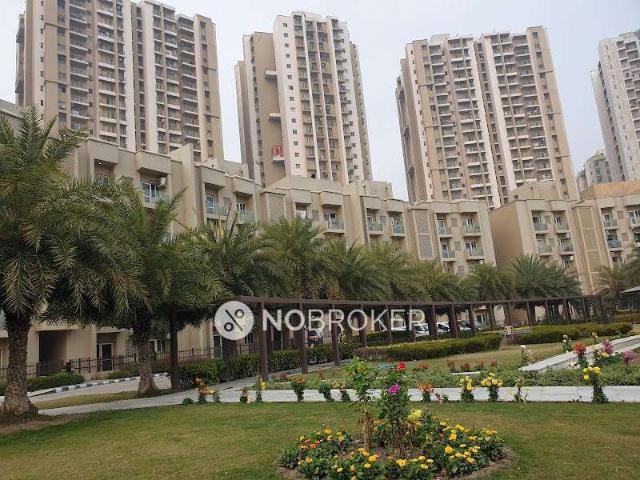 2 BHK Flat In Paras Tierea for Rent In Sector 137