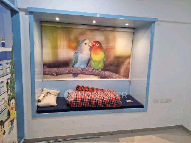 2 BHK Flat In Patel Smondoville for Rent In Gachibowli