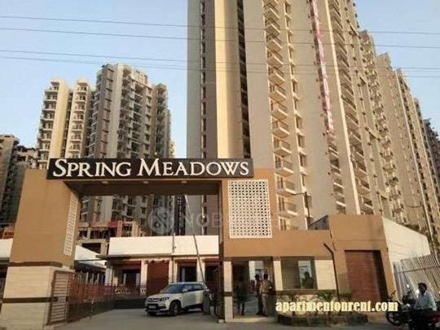 2 BHK Flat In Pigon Spring Meadows for Rent In Patwari