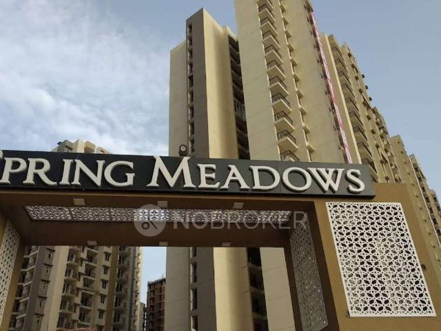 2 BHK Flat In Pigeon Spring Meadows for Rent In Patwari