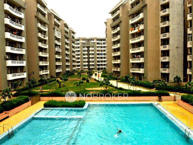 2 BHK Flat In Svp Gulmohar Greens Phase Ii for Rent In Sahibabad