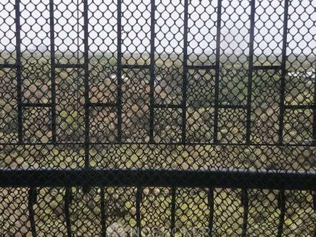 2 BHK Flat In Sai Sananda, Velachery for Rent In Velachery