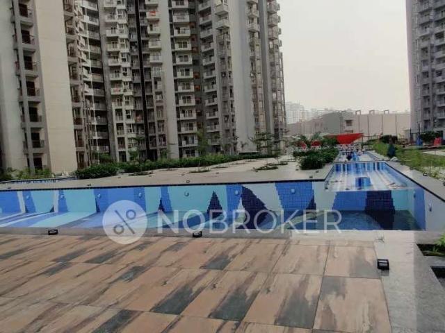 2 BHK Flat In Shri Radha Sky Garden for Rent In Sector 16b