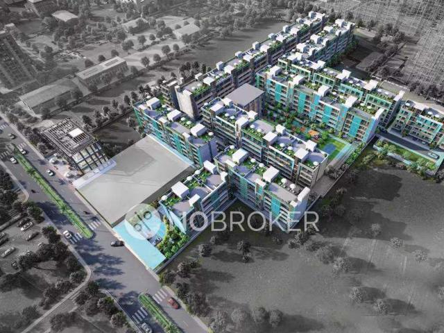 2 BHK Flat In Signature Global City for Rent In Kadarpur