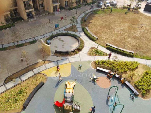 2 BHK Flat In Signature Global Millennia 1 Sector 37d for Rent In Signature Global Millennia 1 Gurgaon