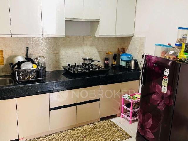2 BHK Flat In Signature Global The Millennia for Rent In Sector 37d, Gurgaon
