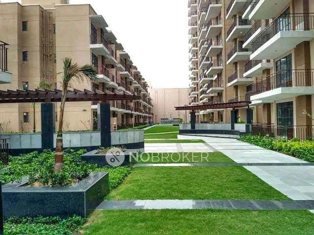 2 BHK Flat In Signature Synera for Rent In Sector 81