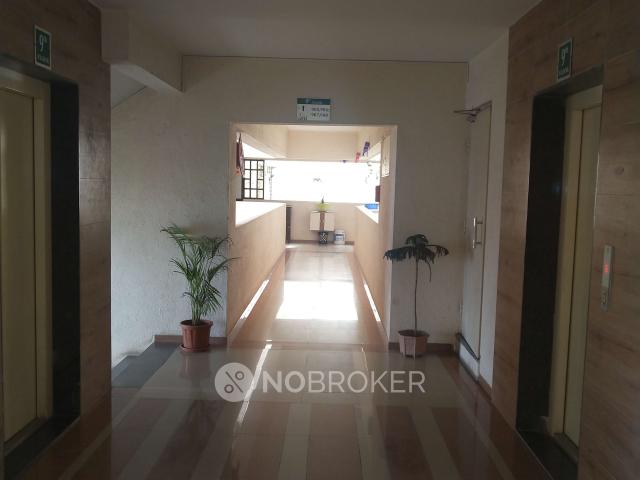 2 BHK Flat In Springfield, Narhe for Rent In Springfield