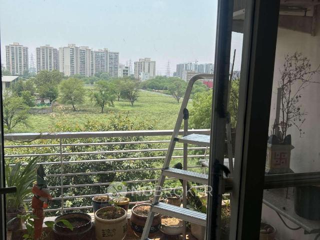2 BHK Flat In Tulip Ivory for Rent In Sector 70