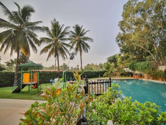 2 BHK Flat In Ukn Belvista for Rent In Whitefield