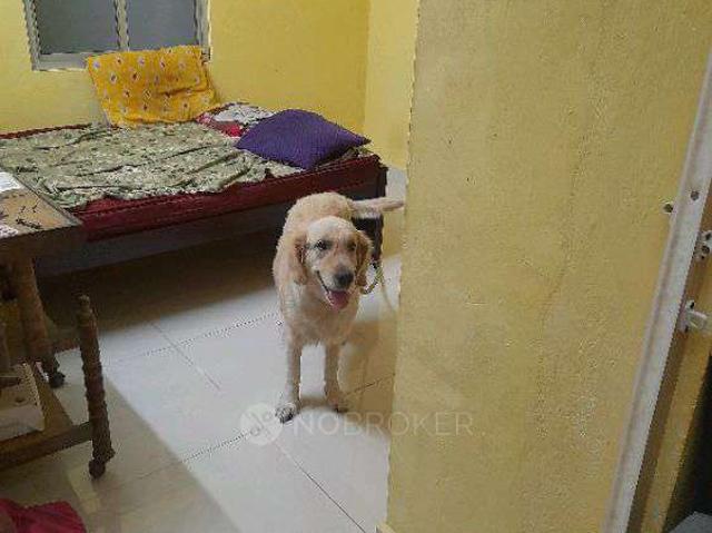 2 BHK House for Lease In Choolaimedu