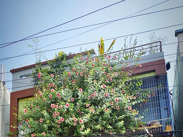 2 BHK House For Sale In Sc Seva Sangam, No: 8, Bharath Nagar
