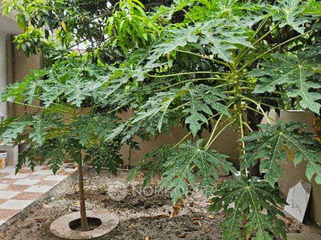 2 BHK House for Rent In Sector 108
