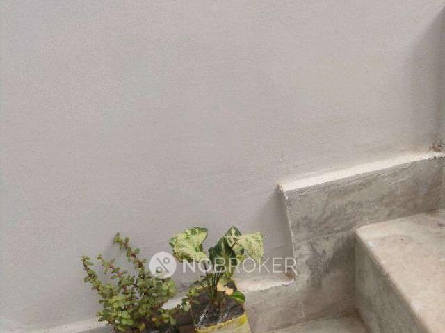 2 BHK House for Rent In Supertech Eco Village 3