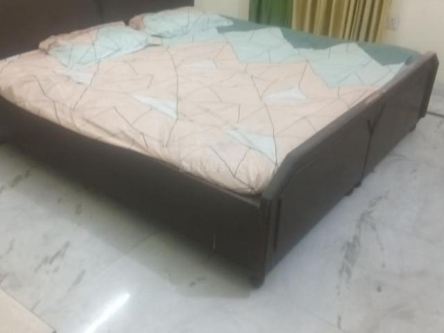2 BHK Independent Builder Floor in Adarsh Nagar for rent Jalandhar. The reference number is 19980189
