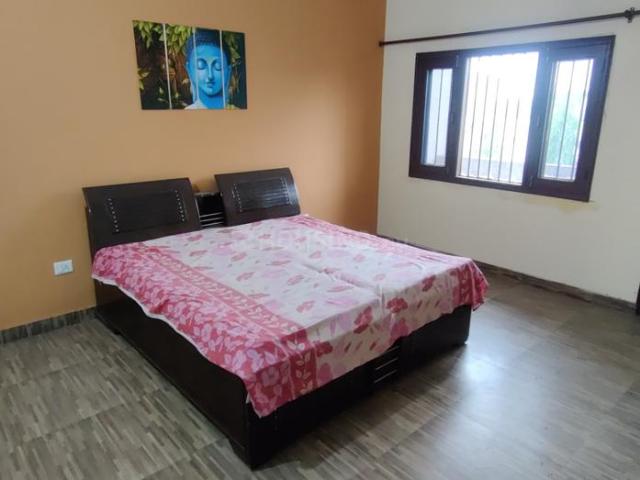 2 BHK Independent Builder Floor in Defence Colony for rent Ambala. The reference number is 12034913