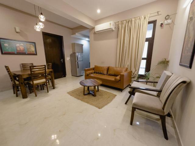 2 BHK Independent Builder Floor in DLF Phase 5 for rent Gurgaon. The reference number is 20284164