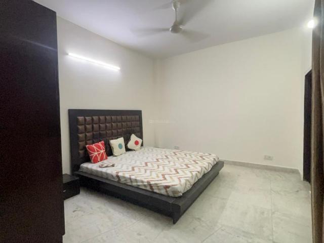 2 BHK Independent Builder Floor in DLF Phase 1 for rent Gurgaon. The reference number is 20733513