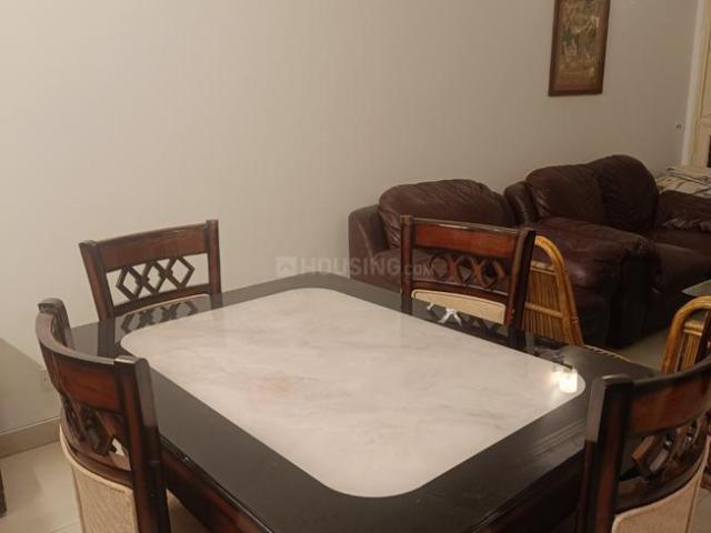 2 BHK Independent Builder Floor in DLF Phase 2 for rent Gurgaon. The reference number is 19870852