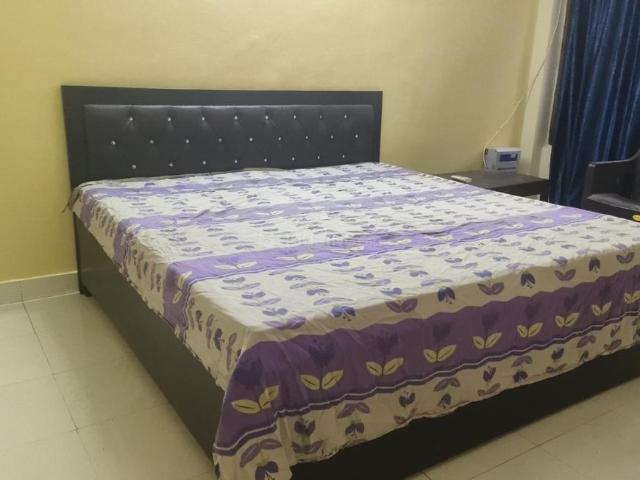 2 BHK Independent Builder Floor in DLF Phase 3 for rent Gurgaon. The reference number is 20287591