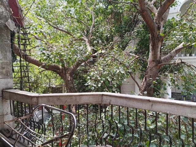 2 BHK Independent Builder Floor in Greater Kailash II for rent New Delhi. The reference number is 20468323