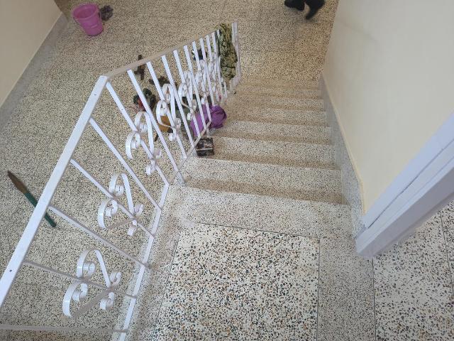 2 BHK Independent Builder Floor in Salt Lake City for rent Kolkata. The reference number is 20184657