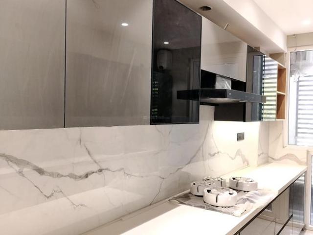 2 BHK Independent Builder Floor in Sector 43 for rent Gurgaon. The reference number is 20544913