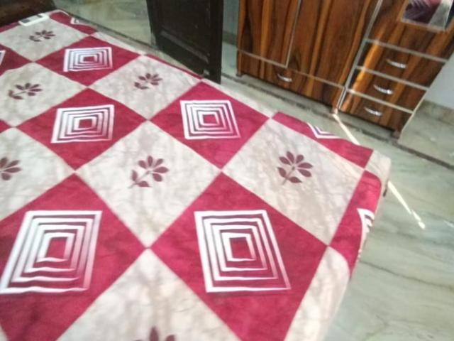 2 BHK Independent Builder Floor in Sector 46 for rent Gurgaon. The reference number is 20942284