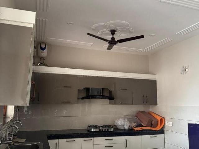 2 BHK Independent Builder Floor in Sector 71 for rent Mohali. The reference number is 19824908